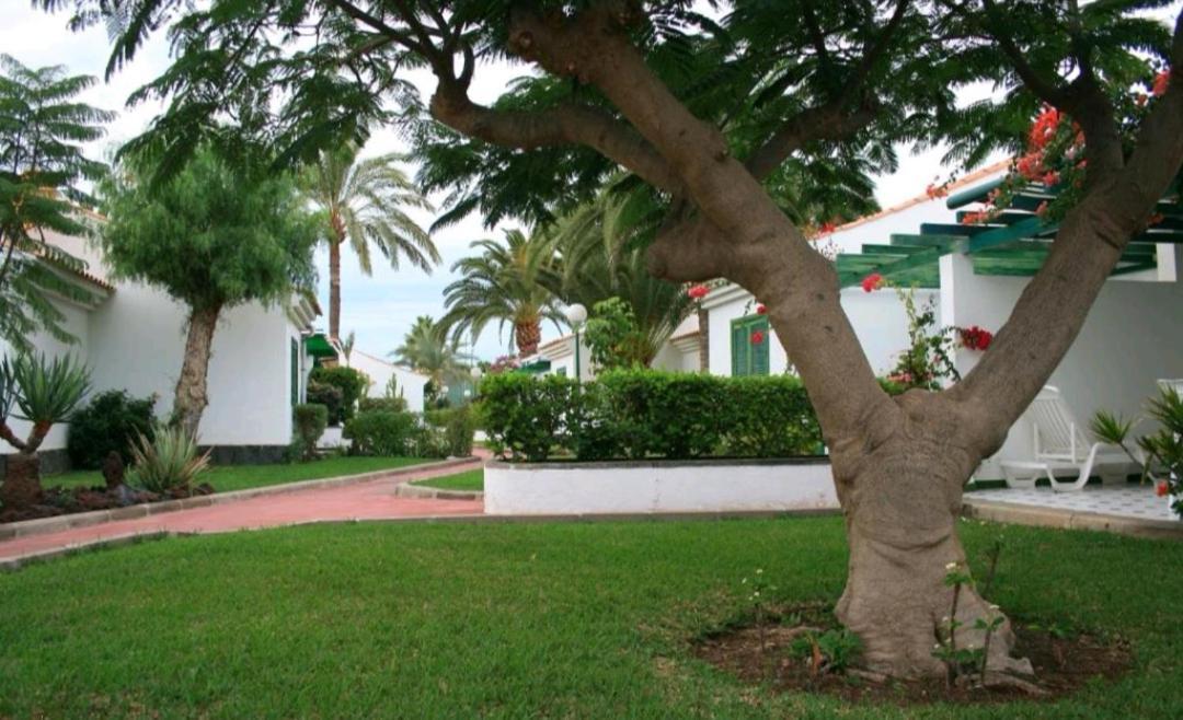 Maspalomas Dunas Golf Bagian luar foto